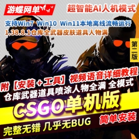 CSGO单机版第2版超智能AI机器人假人练习赛全武器皮肤道具喷涂人物